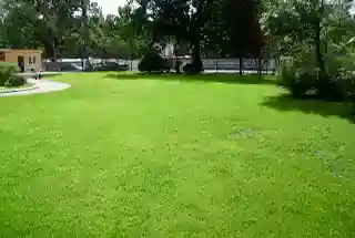 Artificial Party Lawn at Suraj Park View